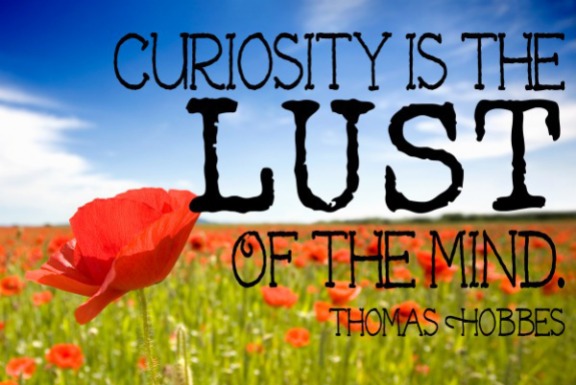 curiosity-hobbes
