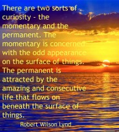 curiosity-quote-lynd