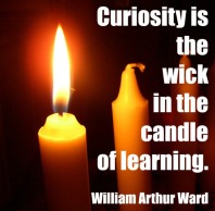 curiosity-ward